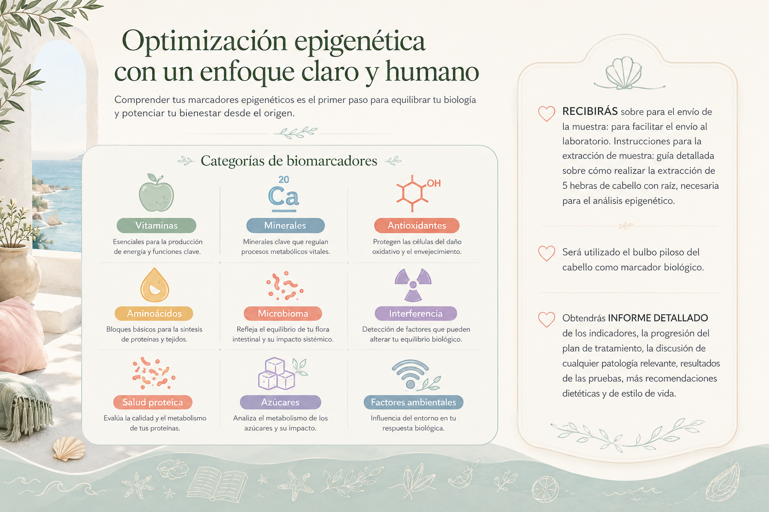 Informe de epigenética en castellano y categorías de biomarcadores
